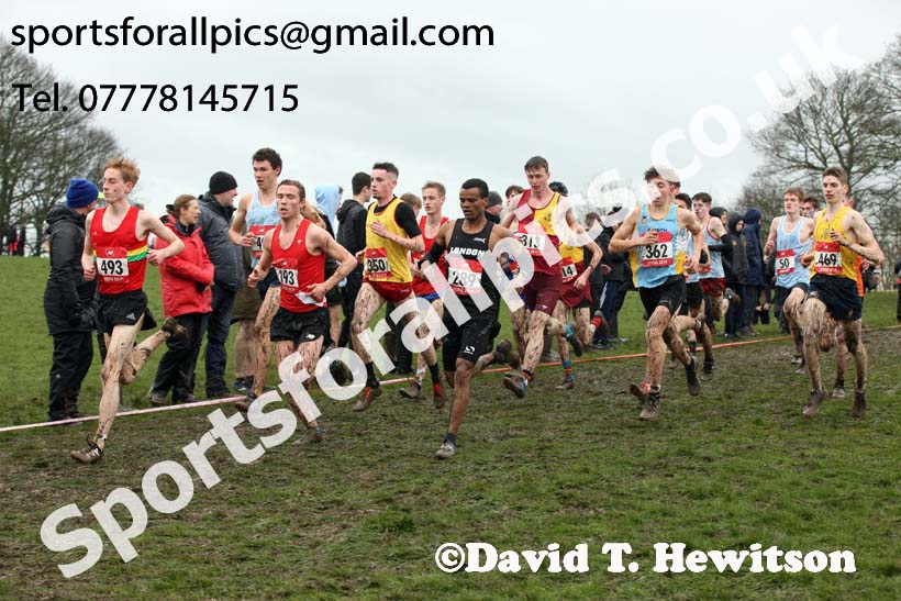 Senior boys 2019 New Balance English Schools Cross Country Champs, Temple Newsam, Leeds. Photo:  David T. Hewitson/Sports for All Pics